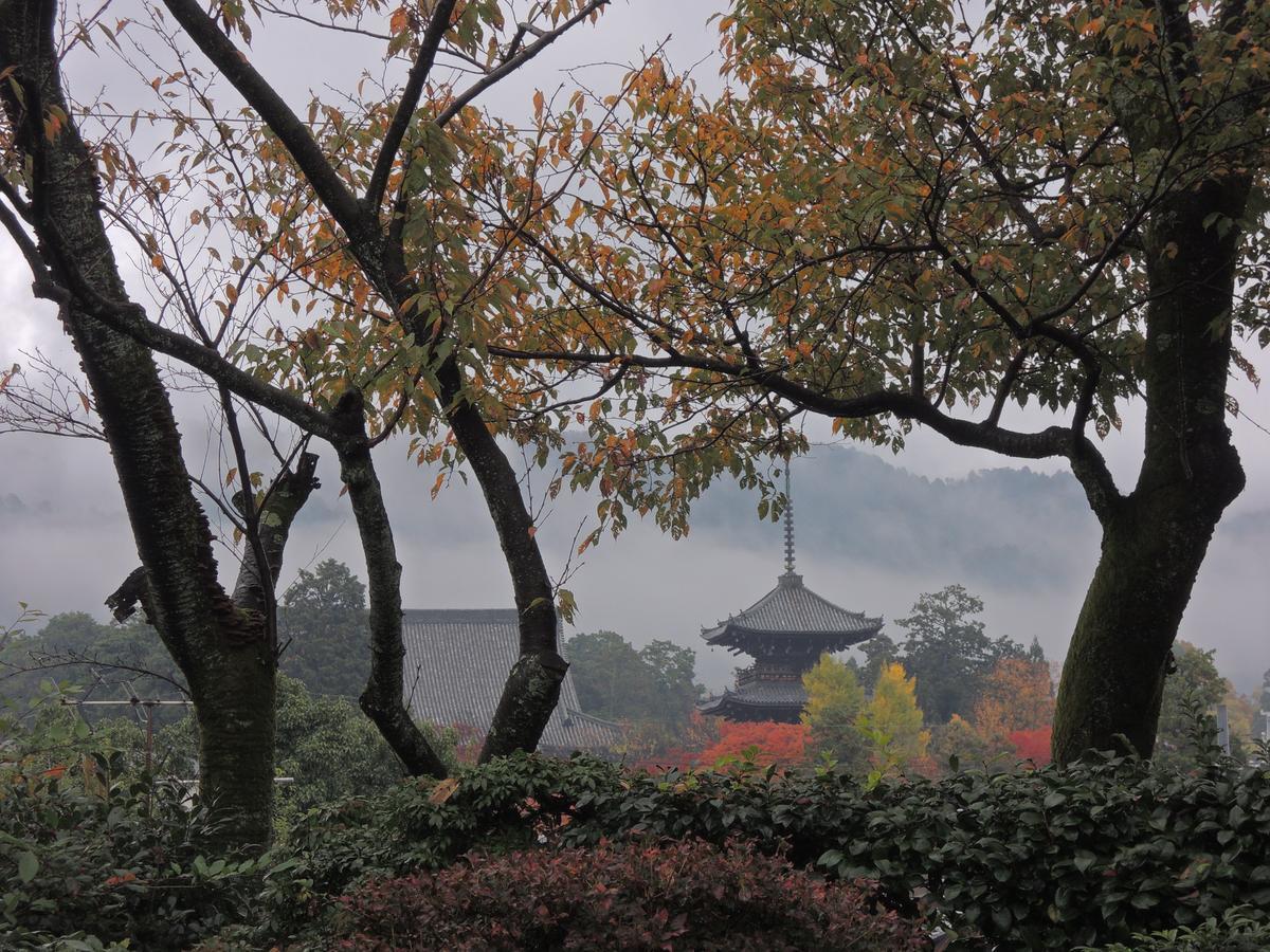 Ryokan Inn Yoshida-Sanso Kyoto Luaran gambar