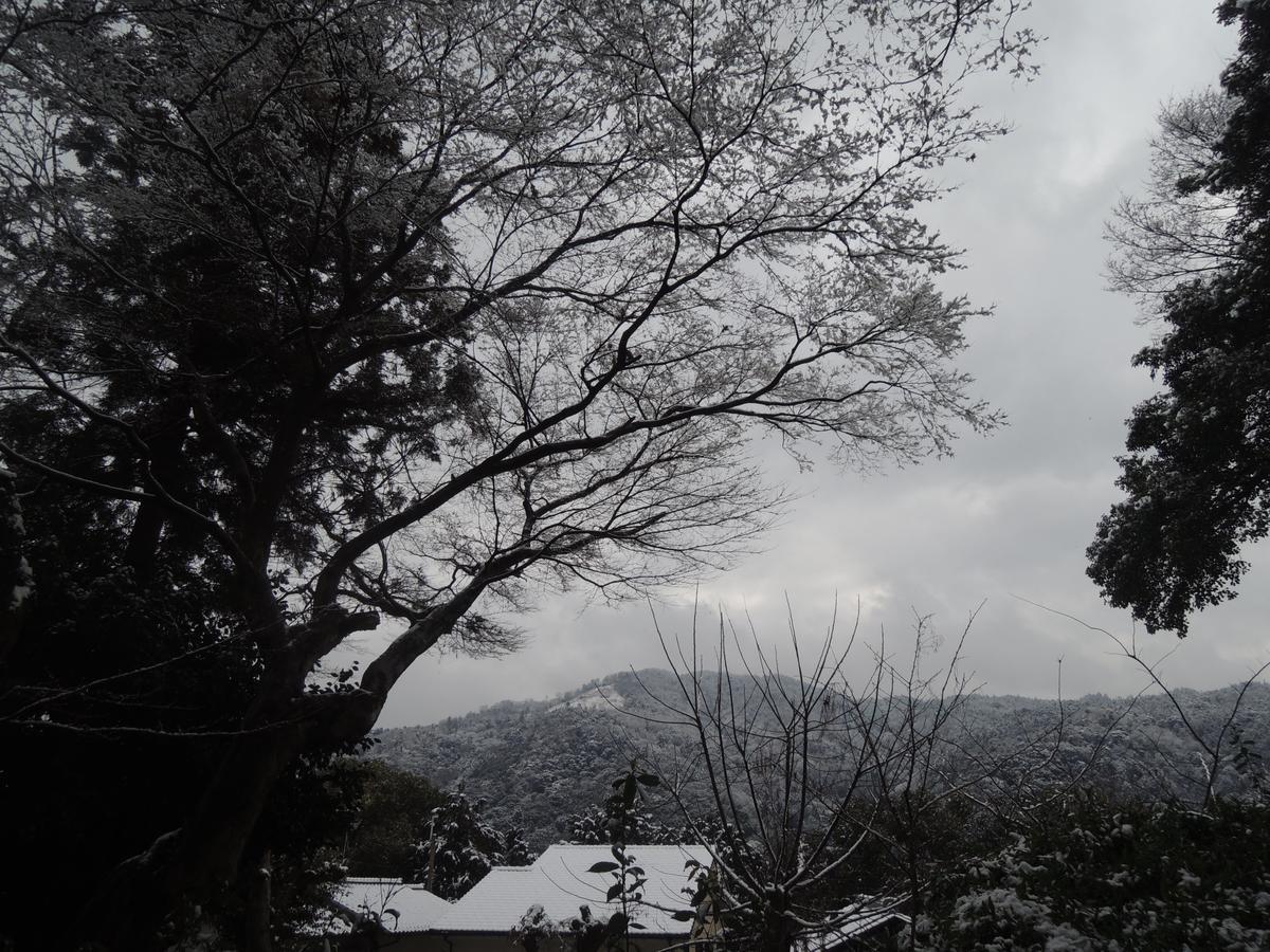 Ryokan Inn Yoshida-Sanso Kyoto Luaran gambar